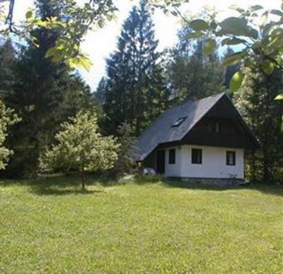 фото отеля Apartments Lake Bohinj