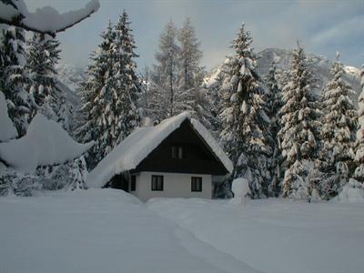 фото отеля Apartments Lake Bohinj