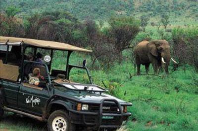 фото отеля Kwa Maritane Bush Lodge