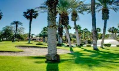 фото отеля Indian Palms Country Club & Resort