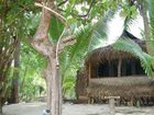 фото отеля Matriki Beach Huts