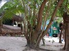 фото отеля Matriki Beach Huts