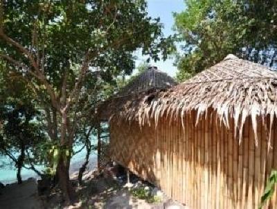 фото отеля Phi Phi Pavilion Resort
