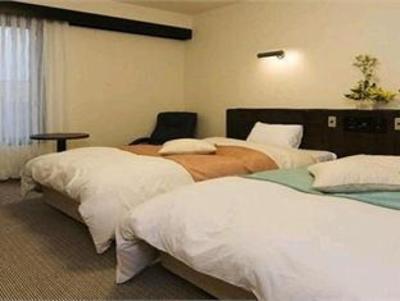 фото отеля Dormy Inn Hakodate Goryokaku
