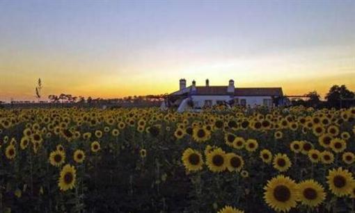 фото отеля Herdade do Touril