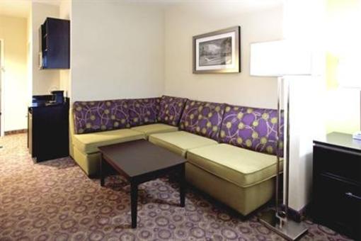 фото отеля Holiday Inn Express Hotel & Suites Clemson - Univ Area