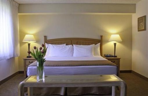 фото отеля BEST WESTERN Airport Executel