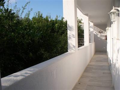 фото отеля Adonis Hotel