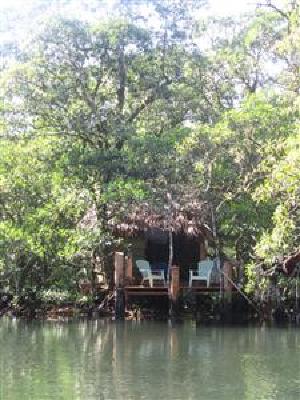 фото отеля The Mangrove Garden Restaurant & Accommodation