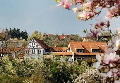 фото отеля Hotel Le Relais De Wasselonne