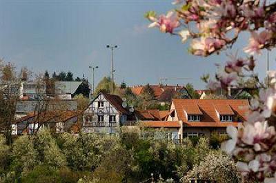 фото отеля Hotel Le Relais De Wasselonne