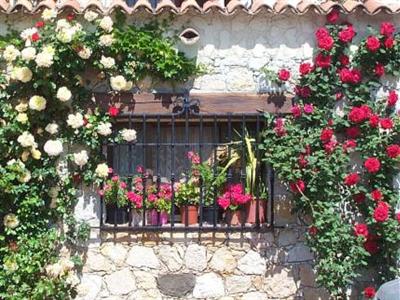 фото отеля Castel Garoupe Hotel Antibes