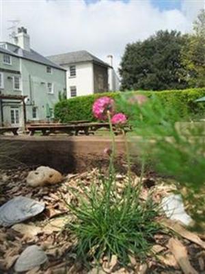фото отеля The White Cliffs Hotel Dover