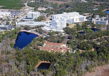 фото отеля Courtyard Jacksonville Mayo Clinic/Beaches
