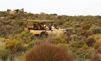 фото отеля Bushmans Kloof Wilderness Reserve & Wellness Retreat