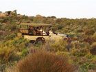 фото отеля Bushmans Kloof Wilderness Reserve & Wellness Retreat