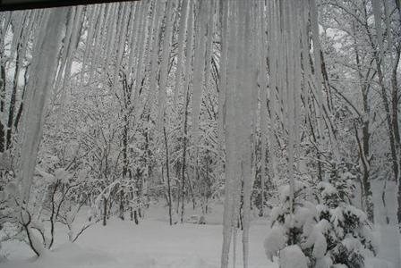 фото отеля Hotel La Neige