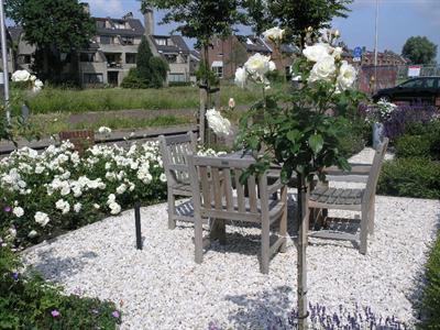 фото отеля Bed and Breakfast Oude Rijn