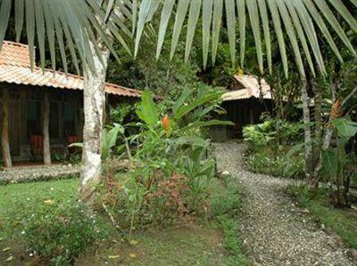 фото отеля Esquinas Rainforest Lodge