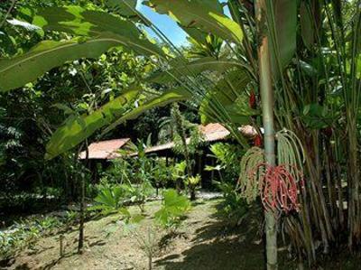 фото отеля Esquinas Rainforest Lodge