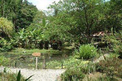 фото отеля Esquinas Rainforest Lodge