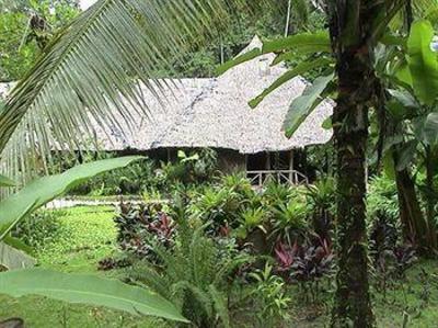 фото отеля Esquinas Rainforest Lodge