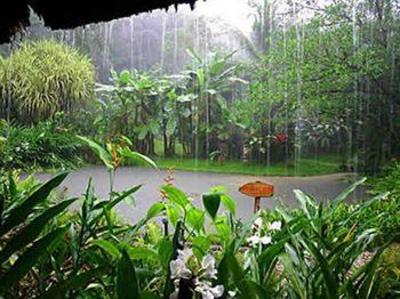 фото отеля Esquinas Rainforest Lodge