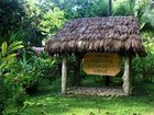 фото отеля Esquinas Rainforest Lodge