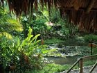 фото отеля Esquinas Rainforest Lodge