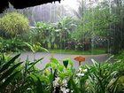 фото отеля Esquinas Rainforest Lodge