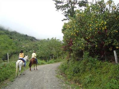 фото отеля Hostal La Finca