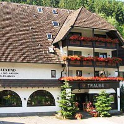 фото отеля Hotel Traube Altensteig