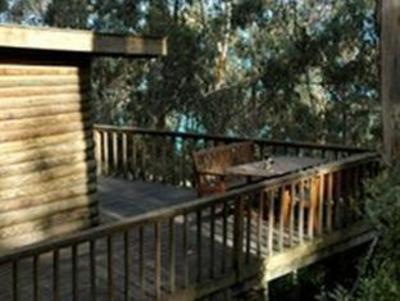 фото отеля Patrick's Log Cabin