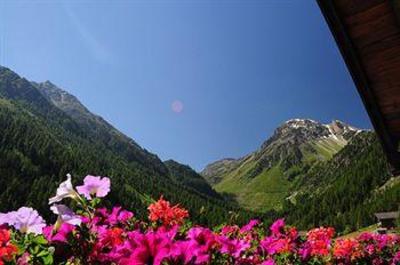 фото отеля Hotel Cristal Grimentz