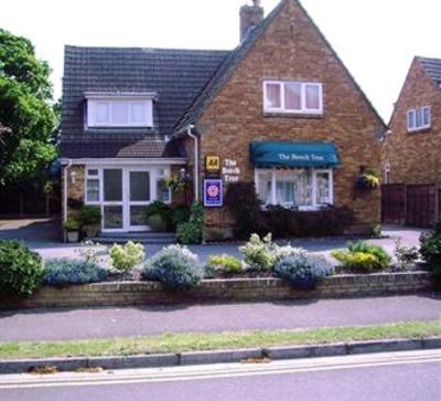 фото отеля The Beech Tree Guesthouse Christchurch (England)