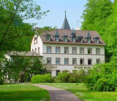 фото отеля Hotel Pfälzer Wald Bad Bergzabern