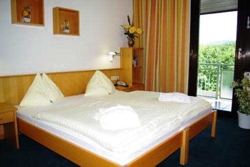 фото отеля Seminar Parkhotel Hirschwang Reichenau an der Rax
