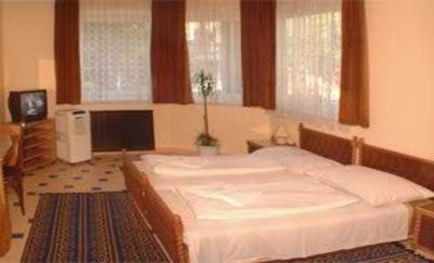 фото отеля Richter Hotel Pansio