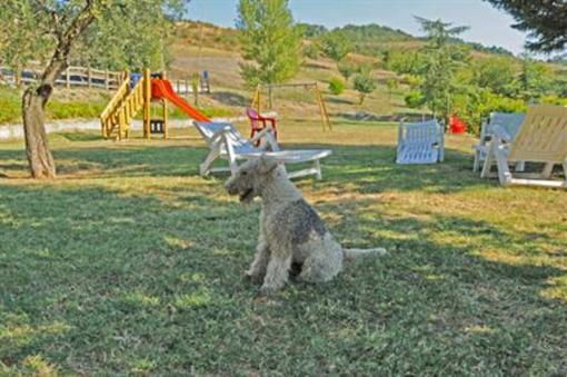 фото отеля Poggio Duca Agriturismo San Leo (Emilia-Romagna)