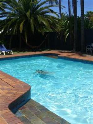 фото отеля Maroochydore YHA Backpackers Hostel