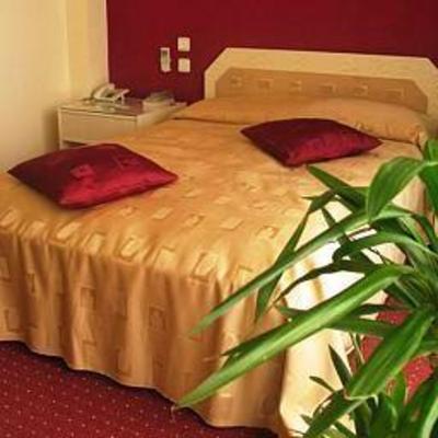 фото отеля Hotel President Timisoara