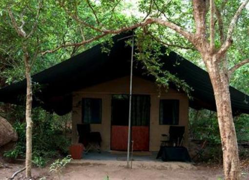 фото отеля Mahoora Tented Safari Camps