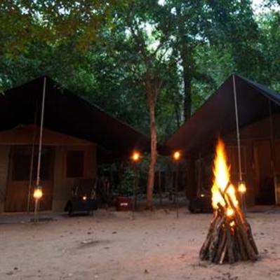 фото отеля Mahoora Tented Safari Camps