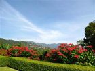 фото отеля Doi Tung Lodge