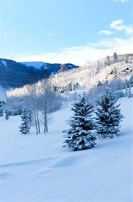 фото отеля The Osprey Resort Beaver Creek