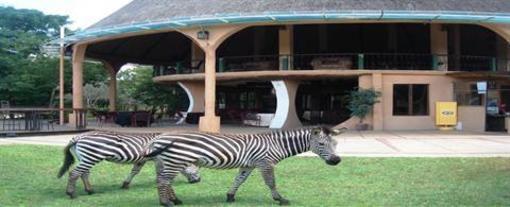 фото отеля Kaazmein Lodge and Resort Livingstone