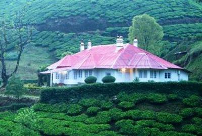 фото отеля Tea Meadows