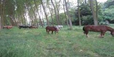 фото отеля Agriturismo LA.TI.MI.DA. Cassine