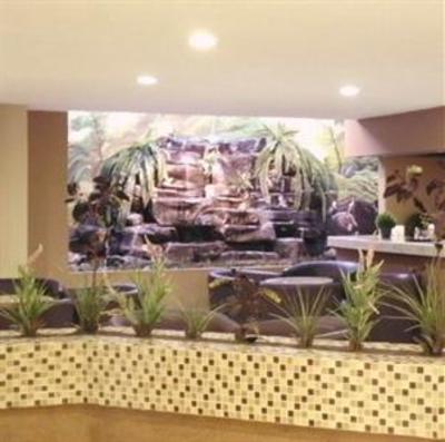 фото отеля Hotel Dali Plaza Guadalajara