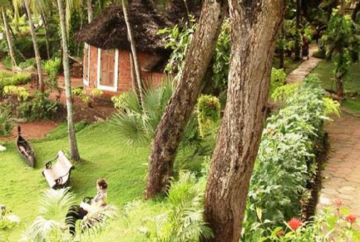 фото отеля Somatheeram Ayurveda Resort Kovalam